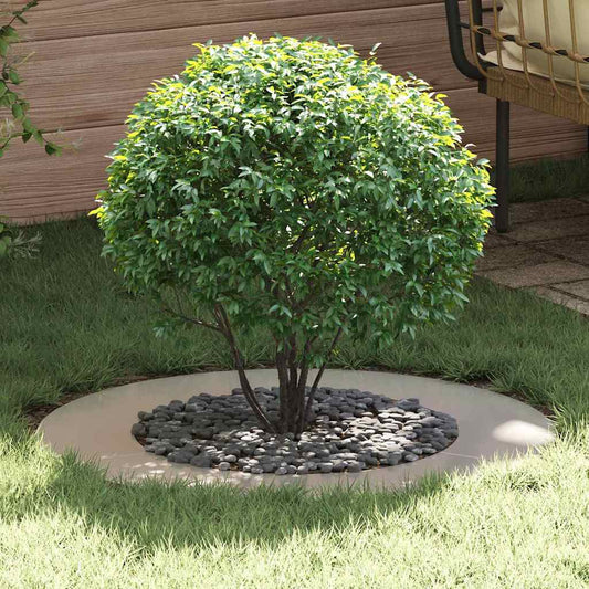 Anelli di Albero Piatto 5 pcs Argento Ø30 / 60 cm