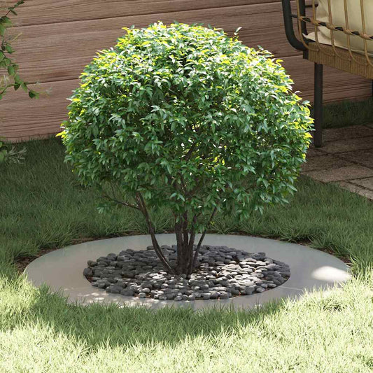 Anelli di Albero Piatto 5 pcs Argento Ø50 / 80 cm Acciaio zincato