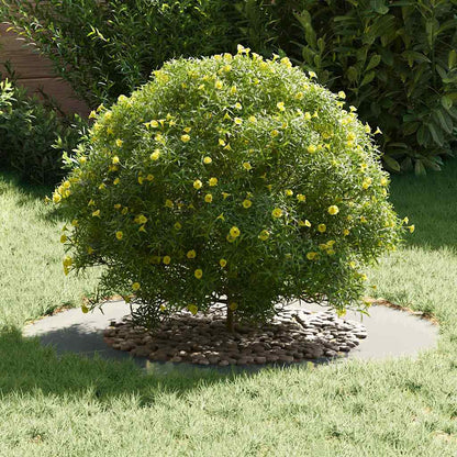 Anelli di Albero Piatto 5 pcs Argento Ø50 / 80 cm Acciaio zincato