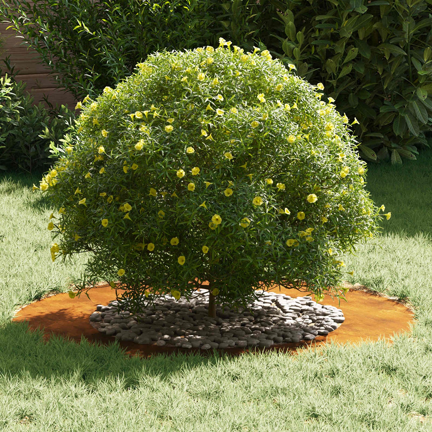 adatto per Anello d'Albero Piatto Marrone Ø50 / 80 cm