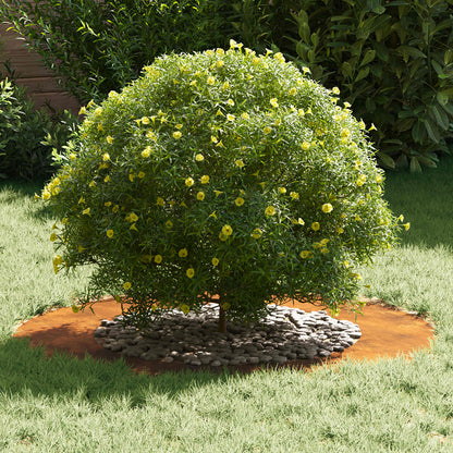 adatto per Anelli d'Albero Piatto 5 pcs Marrone Ø50 / 80 cm