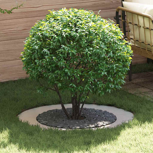 Anelli di Albero Piatto 5 pcs Argento Ø30 / 60 cm
