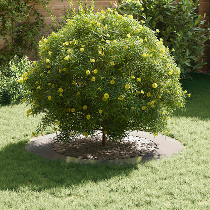Anelli di Albero Piatto 5 pcs Argento Ø30 / 60 cm