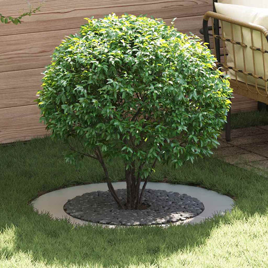 Anelli di Albero Piatto 5 pcs Argento Ø30 / 60 cm Acciaio zincato