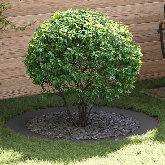 Anelli di Albero Piatto 5 pcs Nero Ø90 / 120 cm Acciaio