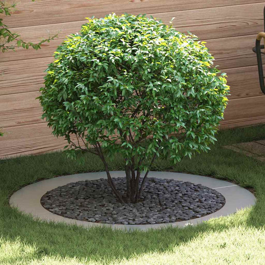 Anello piatto per albero Argento Ø90 / 120 cm Acciaio zincato