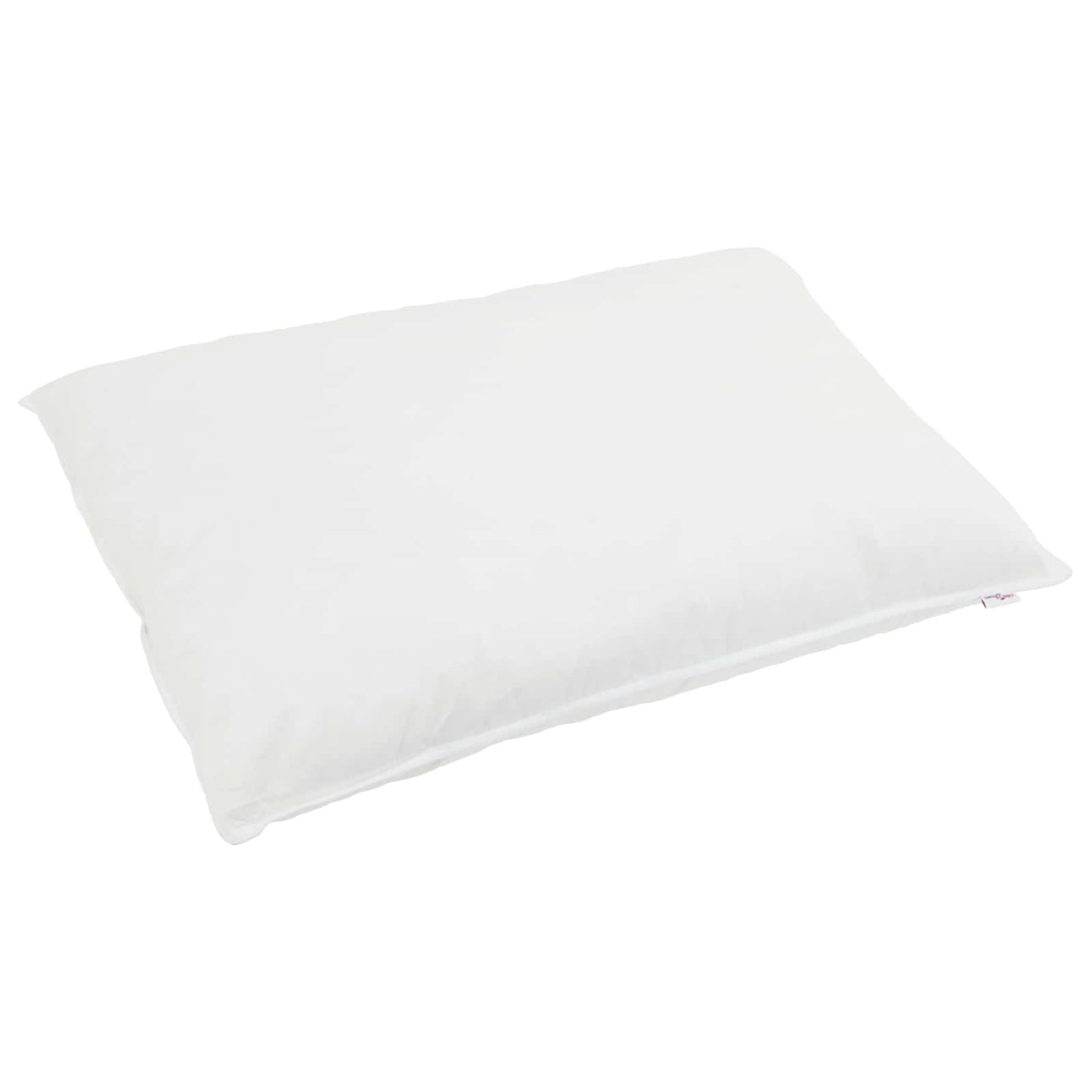 Duvet Invernale con cuscino 2 pcs Bianco Piuma d'anatra