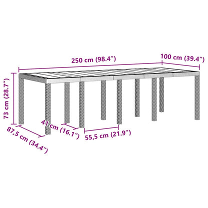 Tavolo da Giardino Grigio chiaro 250 x 100 x 73 cm polyrattan
