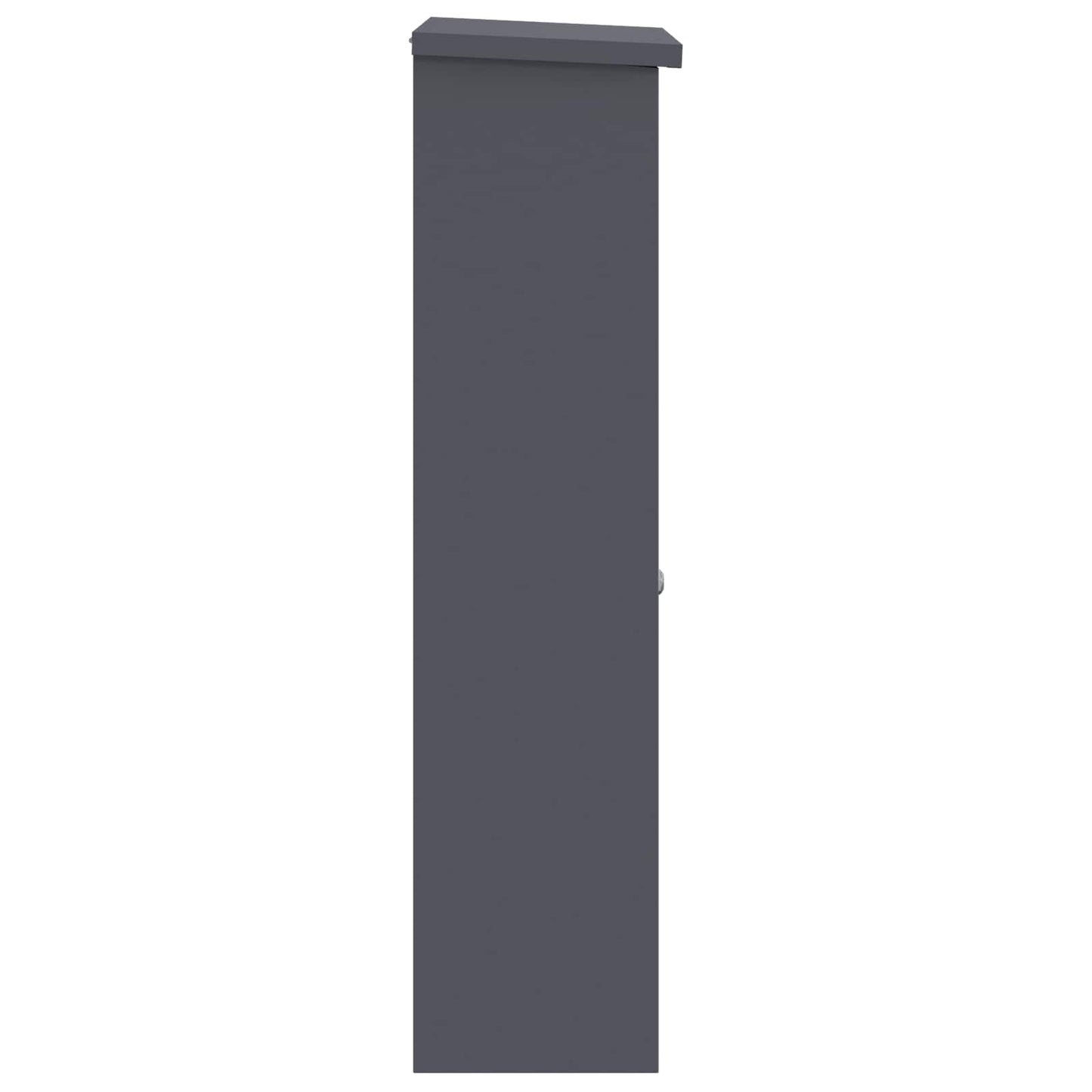 Cassetta per pacchi Antracite 44,5 x 29 x 110,5 cm Acciaio | homemem39