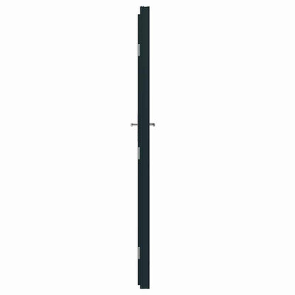 Porta d'ingresso Antracite PVC
