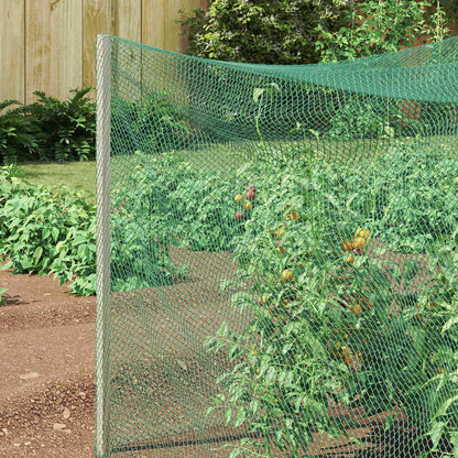 Reticolo di Protezione per Uccelli Verde 2 x 10 m HDPE