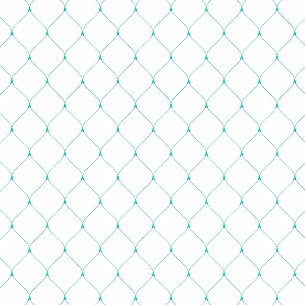 Reticolo di Protezione per Uccelli Verde 2 x 10 m HDPE