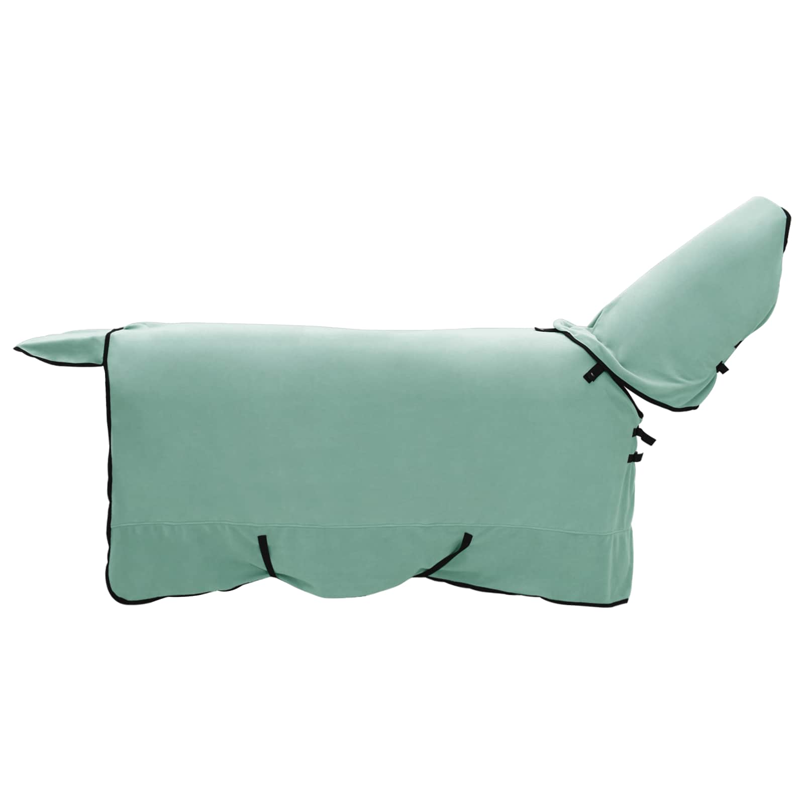 Coperta per Cavalli Verde speciale 155 cm Poliestere | homemem39