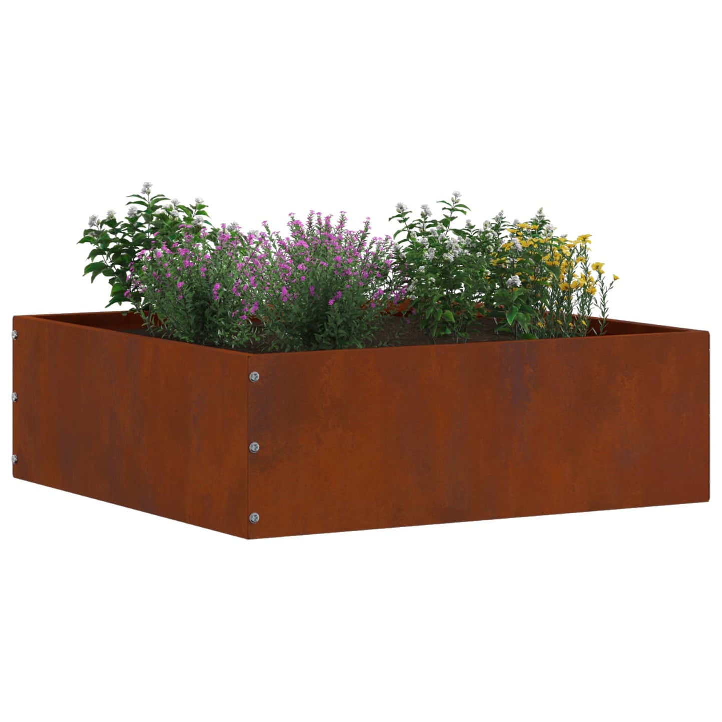 Bordura per Prato 6 pcs Ruggine 40 x 40 x 13 cm | homemem39