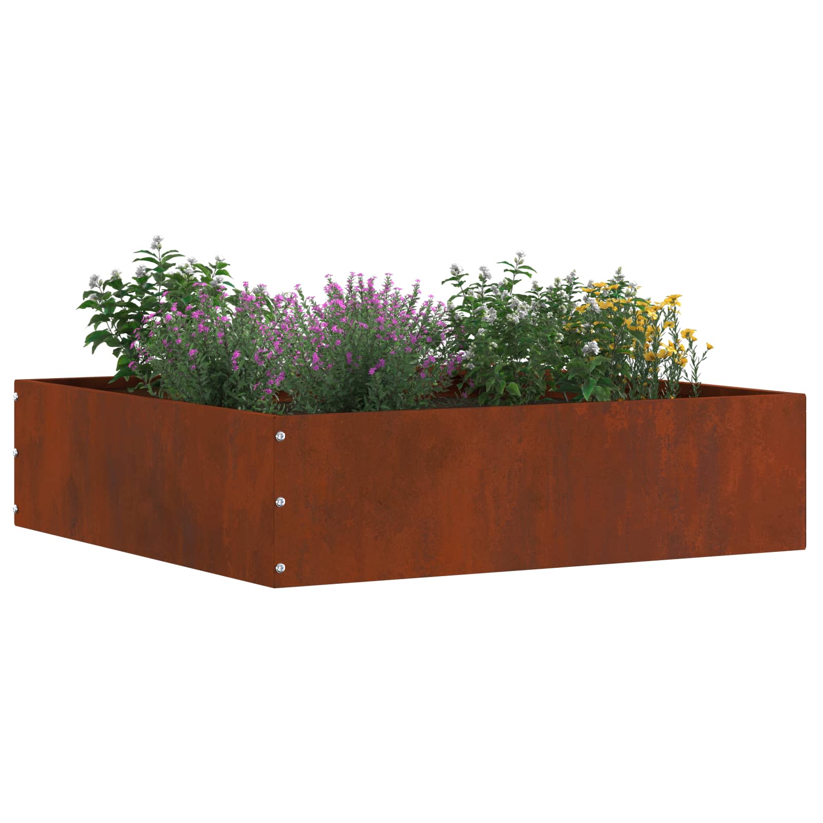 Bordura per Prato 6 pcs Ruggine 50 x 50 x 13 cm | homemem39
