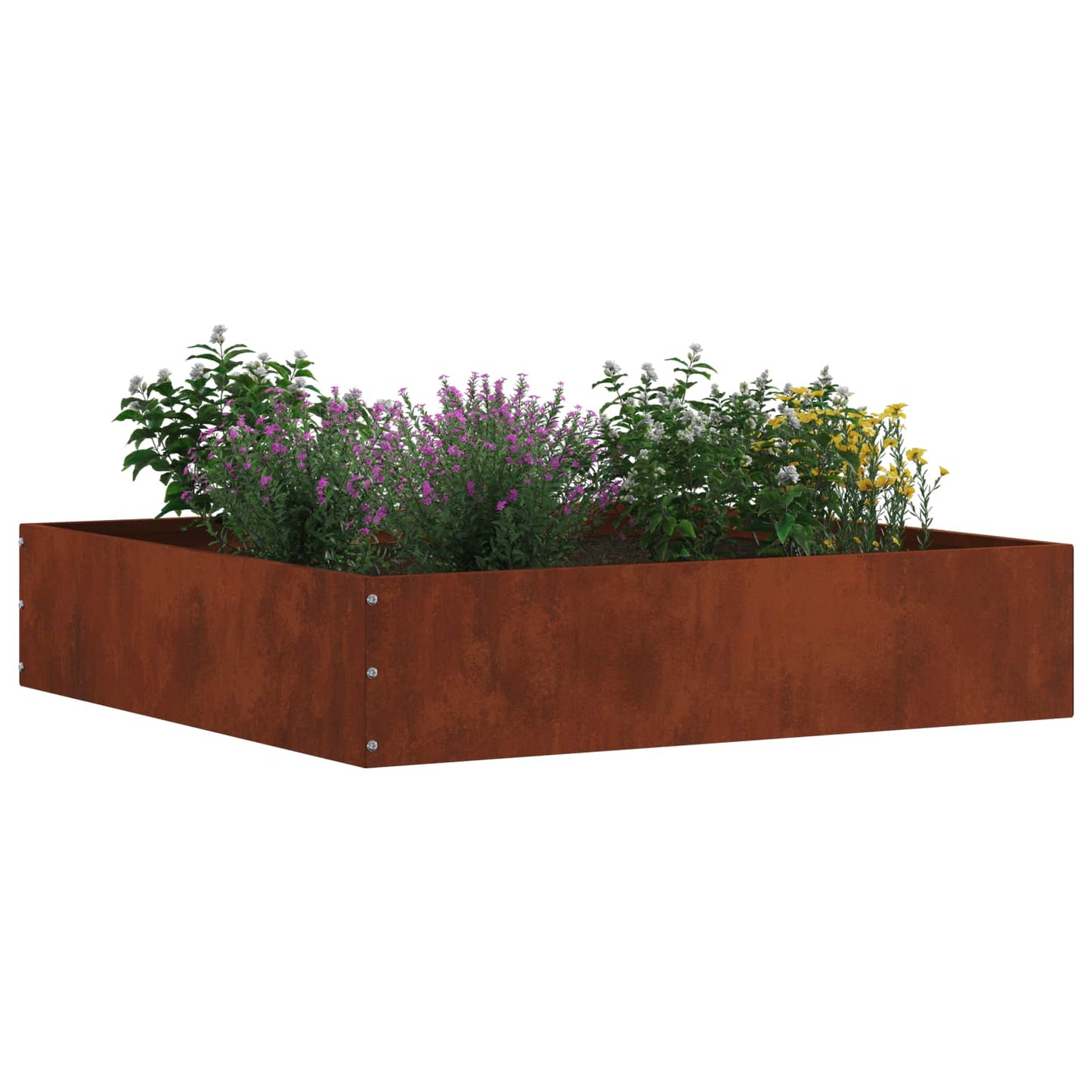 Bordura per Prato Ruggine 60 x 60 x 13 cm | homemem39