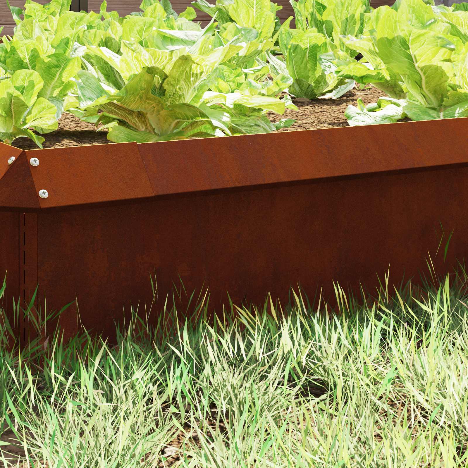 Recinto per lumache Ruggine 100 x 3,5 x 25 cm | homemem39