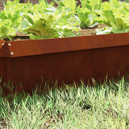 Recinto per lumache Ruggine 100 x 3,5 x 25 cm | homemem39