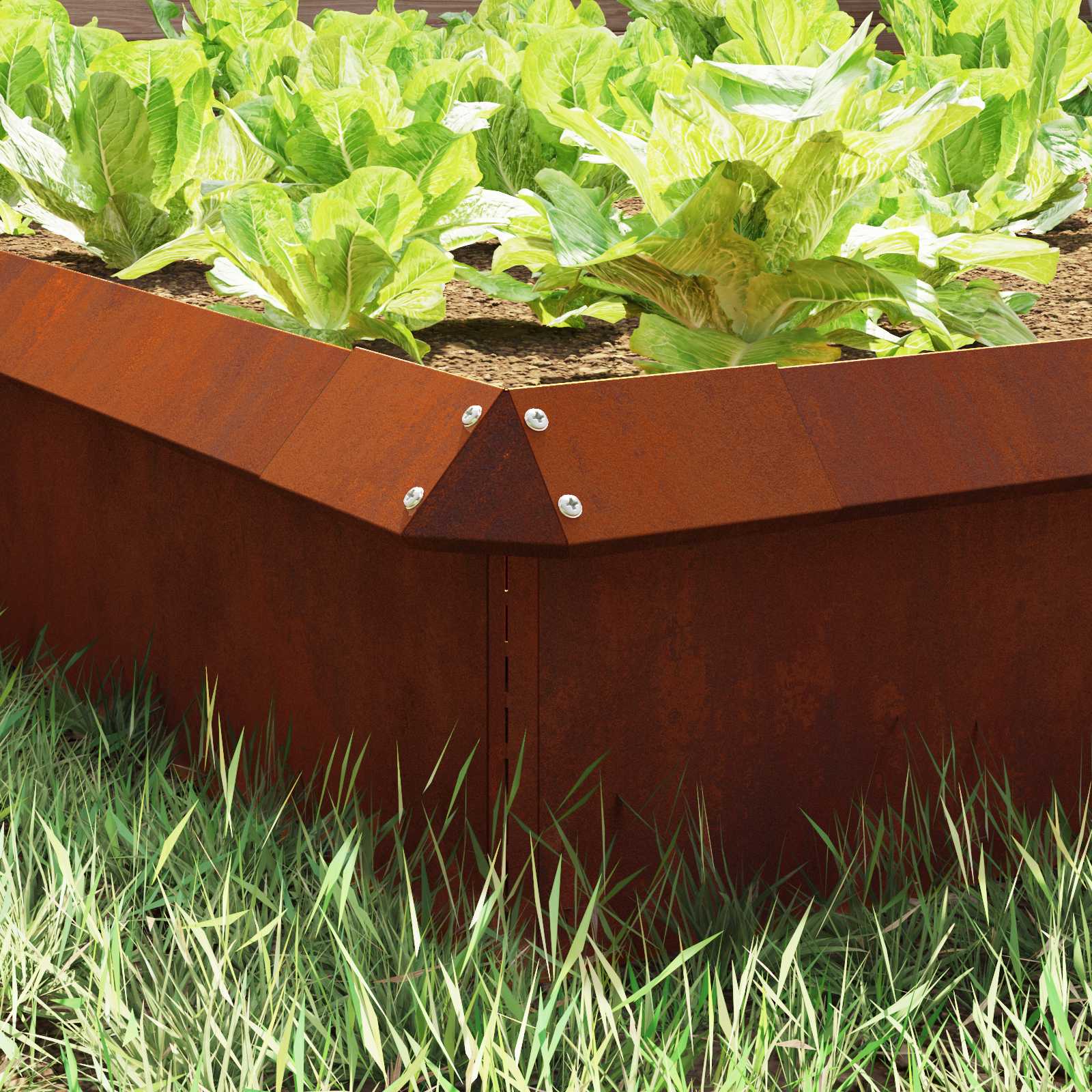 Recinto per lumache Ruggine 13,5 x 13,5 x 25 cm | homemem39