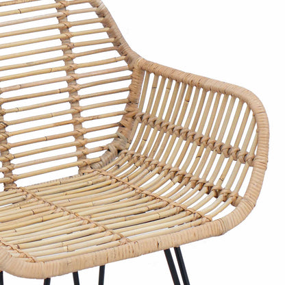 Sedia da pranzo 2 pcs Naturale 55 x 50 x 74 cm Rattan e Ferro