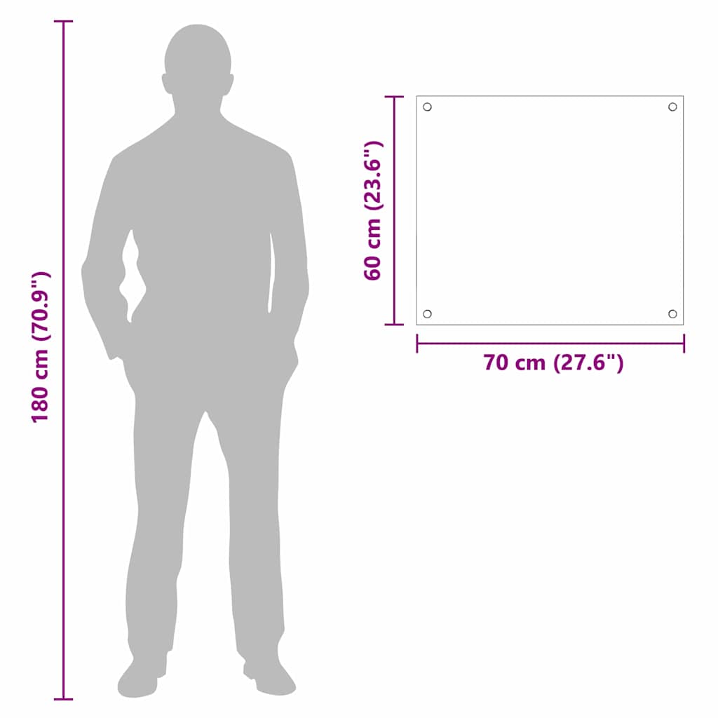 Rivestimento da Cucina Trasparente 70 x 60 x 0.8 cm