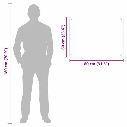 Rivestimento da Cucina Trasparente 80 x 60 x 0.8 cm