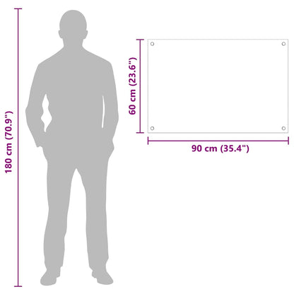 Rivestimento da Cucina Trasparente 90 x 60 x 0.8 cm