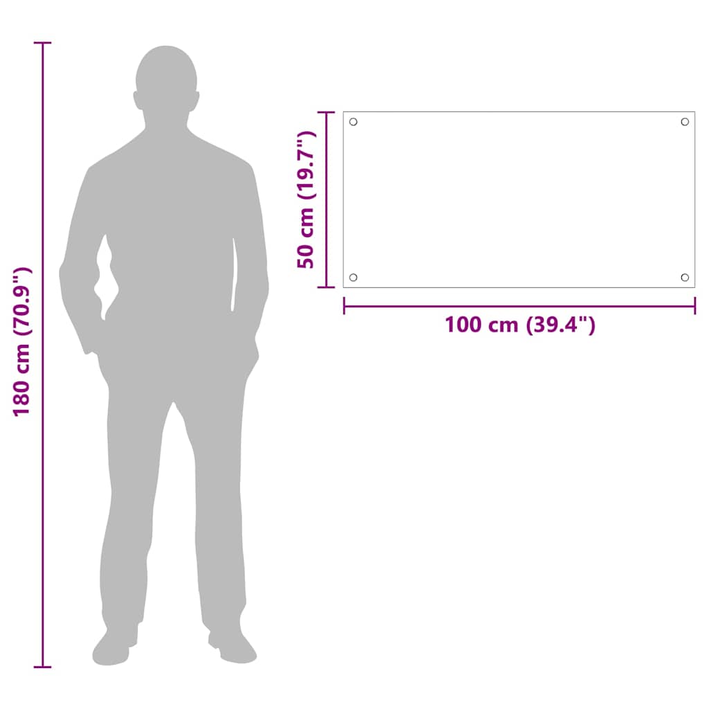 Rivestimento da Cucina Trasparente 100 x 50 x 0.8 cm