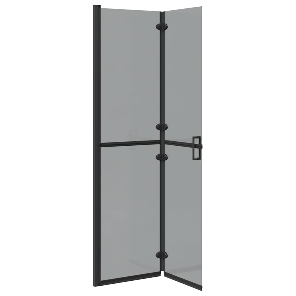 Parete doccia Walk-in Nero e trasparente scuro 100 x 190 cm - homemem39