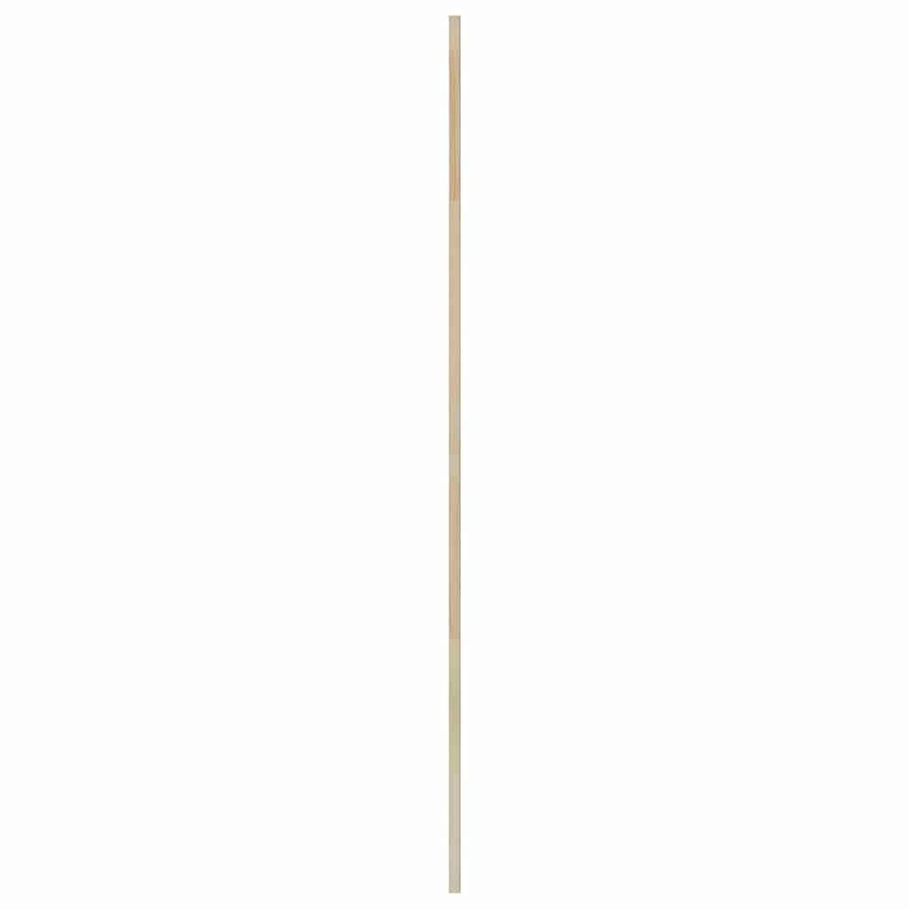 Porte per Armadi con porta 4 pcs Marrone 170 x 49.5 x 2.1 cm