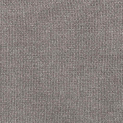 Cuscini da Divano 2 pcs Talpa 80 x 40 cm Tessuto | homemem39