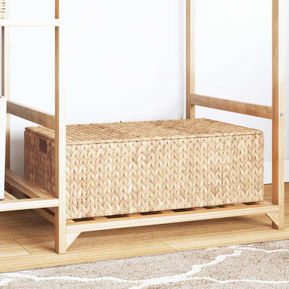 Scatola di Stoccaggio Marrone 60 x 38 x 20 cm Giacinto d'acqua