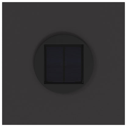 Lucina LED Solare da Percorso 2 pcs Nero