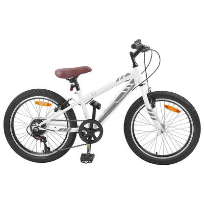 Mountain Bike 20 Pollici 6-Speed per 5-8 anni Bianco