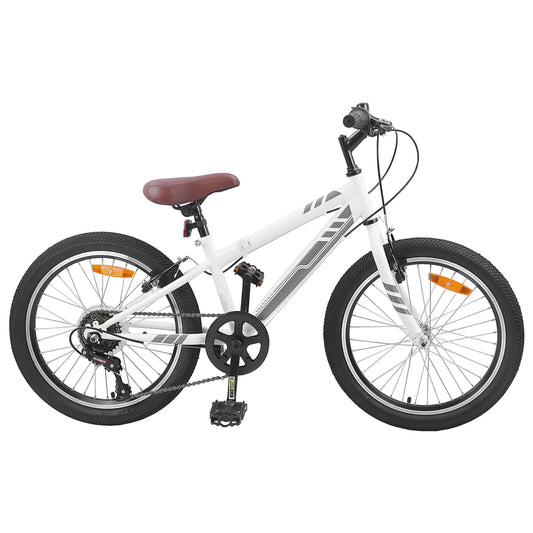 Mountain Bike 20 Pollici 6-Speed per 5-8 anni Bianco