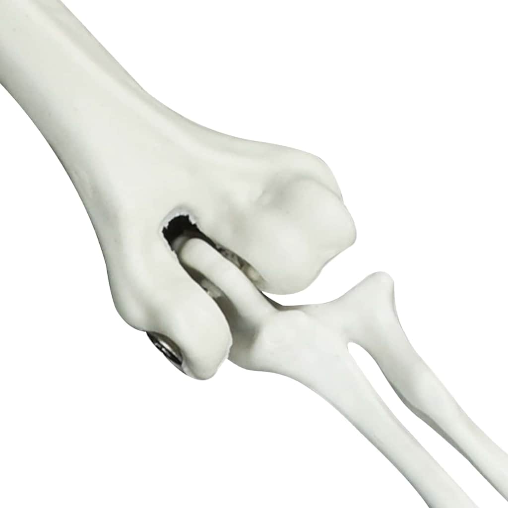 Scheletro di Halloween Bianco 20 x 10 x 9,5 cm Plastica