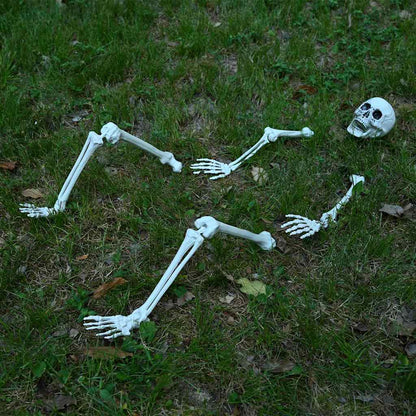 Scheletro di Halloween Bianco 20 x 10 x 9,5 cm Plastica