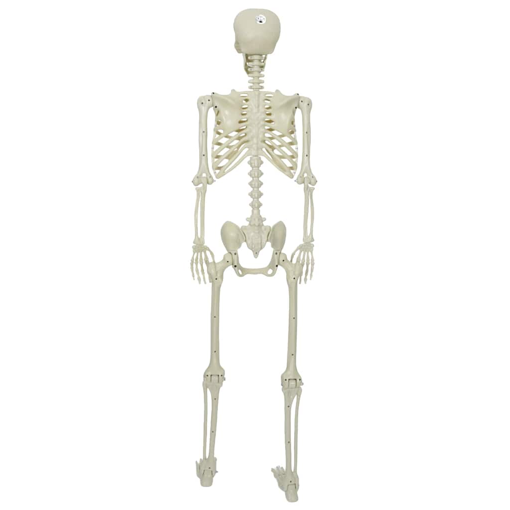 Scheletro di Halloween Bianco 155 x 38.5 cm Plastica
