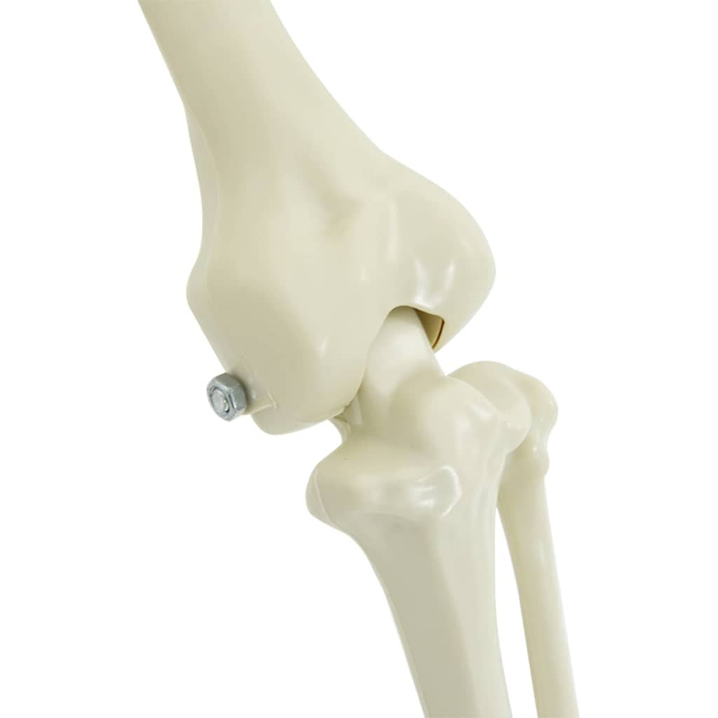 Decorazione Scheletro di Halloween 2 pcs Bianco Polipropilene