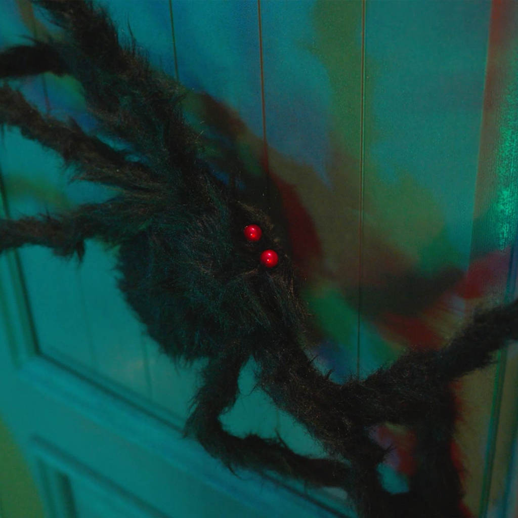 Decorazione Ragno di Halloween 6 pcs Nero 75 cm