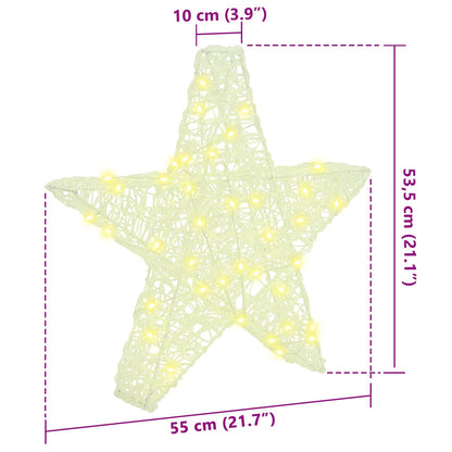 Stella 3D con 50 LED Bianco caldo 55 x 53.5 x 10 cm Acrilico | homemem39
