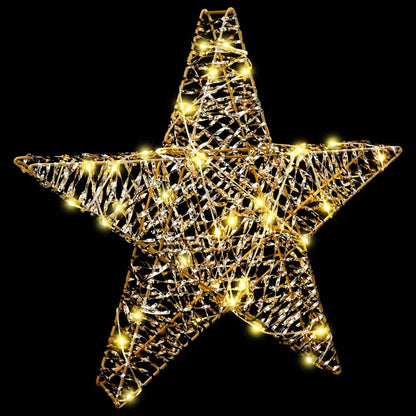 Stella 3D con 50 LED Bianco caldo 55 x 52.5 x 9 cm PET | homemem39