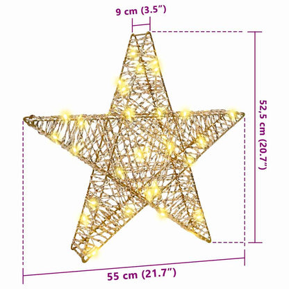 Stella 3D con 50 LED Bianco caldo 55 x 52.5 x 9 cm PET | homemem39
