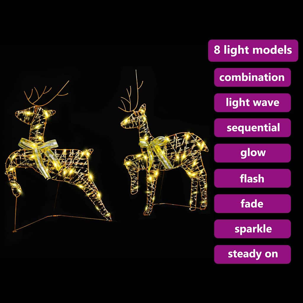 Renne LED con 40 LED 2 pcs Bianco caldo PET | homemem39