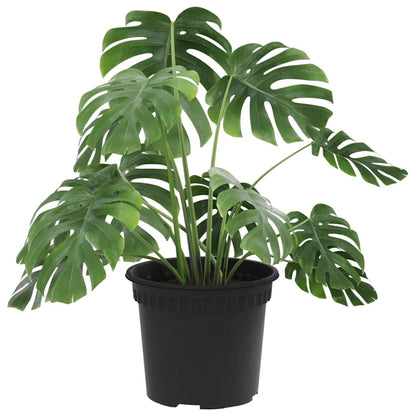 Vaso Rotondo per Fiori 6 pcs Nero Ø 12,5 x 10 cm Plastica | homemem39