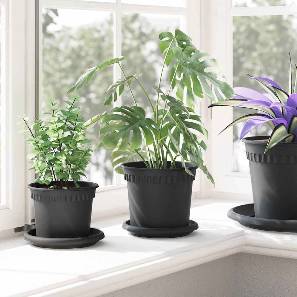 Vassoio Rotondo per Fiori 6 pcs Nero Ø 14 x 2 cm Plastica | homemem39