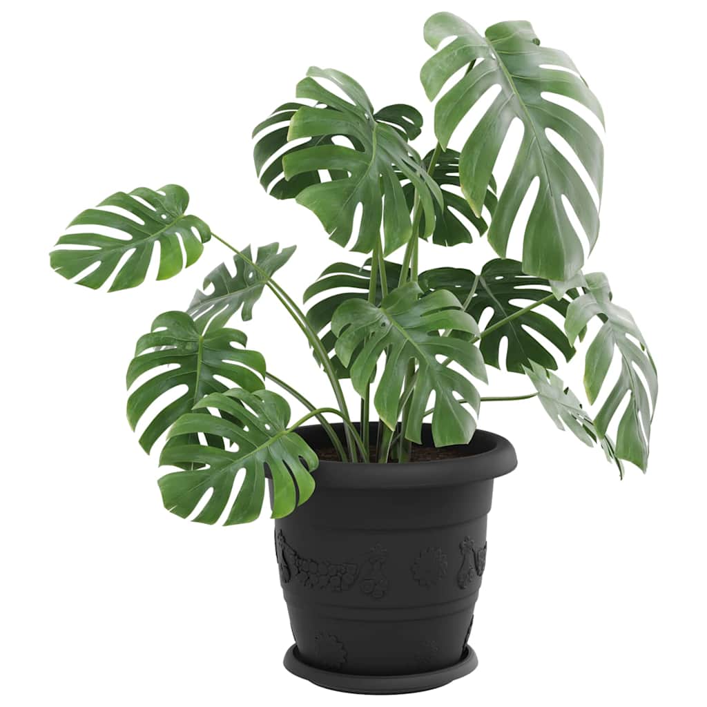 Vassoio Rotondo per Fiori 6 pcs Nero Ø 14 x 2 cm Plastica | homemem39