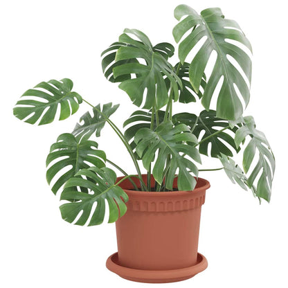 Vassoio Rotondo per Fiori 24 pcs Rosso Mattone Ø 14 x 2 cm