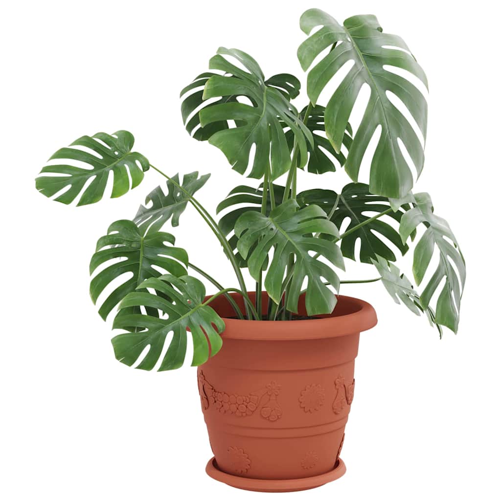 Vassoio Rotondo per Fiori 24 pcs Rosso Mattone Ø 14 x 2 cm