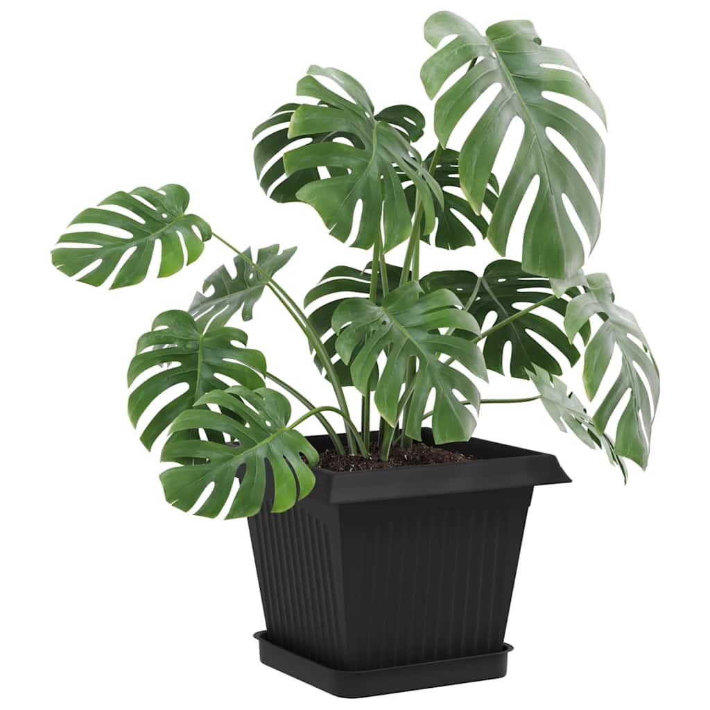 Vassoio Quadrato per Fiori 6 pcs Nero 15 x 15 x 2 cm Plastica | homemem39
